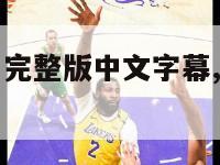 林书豪纪录片完整版中文字幕,林书豪纪录片linsanity