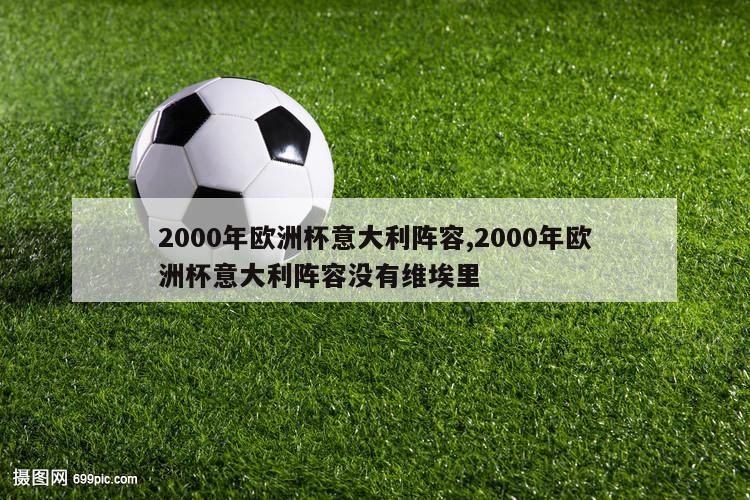 2000年欧洲杯意大利阵容,2000年欧洲杯意大利阵容没有维埃里