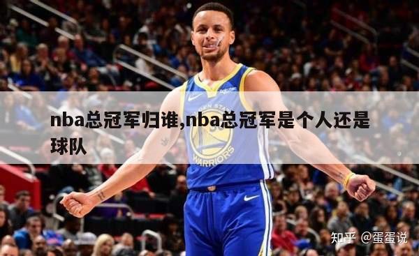 nba总冠军归谁,nba总冠军是个人还是球队