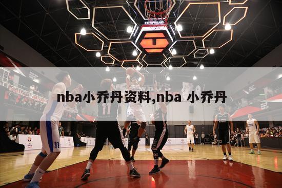 nba小乔丹资料,nba 小乔丹