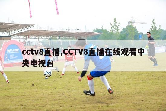 cctv8直播,CCTV8直播在线观看中央电视台